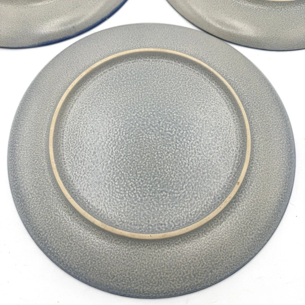Vtg 1960s West Germany 4pc-10in 3 Plate Set & carrier Blue Salt Glazed Stoneware
